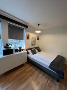 哈纳弗约德尔Studio apartment in Hafnarfjordur的一间卧室设有一张大床和一个窗户。
