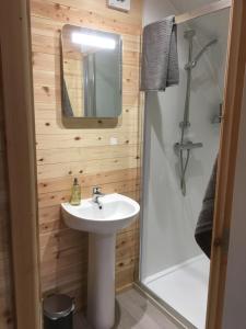 邓甘嫩Orchard Luxe Glamping Pod的一间带水槽、淋浴和镜子的浴室