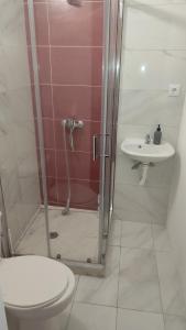 明德卢Rose`s place的带淋浴、卫生间和盥洗盆的浴室
