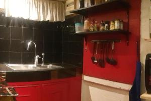 伊穆斯Billgren House的一个带水槽和红色墙壁的厨房