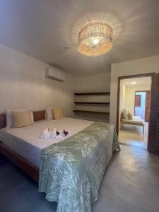 杰里科科拉Novo Apê Fabiano的一间卧室配有一张大床和一个吊灯。