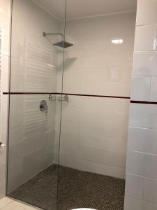 蒂米什瓦拉Vila Toscana的浴室设有玻璃淋浴间和卫生间