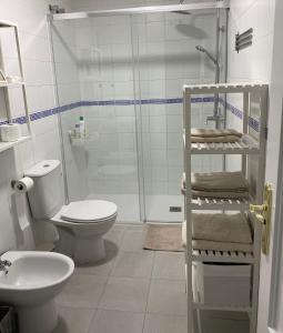 埃希哈APARTAMENTO PLAZA ESPAÑA的带淋浴、卫生间和盥洗盆的浴室