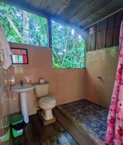 德雷克Citronela Lodge Corcovado的一间带卫生间、水槽和窗户的浴室
