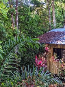 德雷克Citronela Lodge Corcovado的种植了植物的花园以及木质建筑