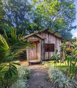德雷克Citronela Lodge Corcovado的花园中间的一座小木结构建筑