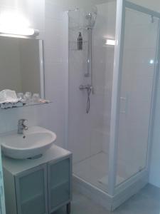 勒阿弗尔莱斯公寓 - 圣若瑟勒阿弗尔中心的带淋浴和盥洗盆的白色浴室