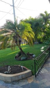波特莫尔Caribbean Estates, 10 mins from the Beach, Beautiful Gated Community的围栏旁公园里的棕榈树