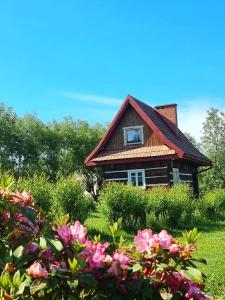 波拉齐克威尔多丽娜聚居地山林小屋的一座红色屋顶的房子,还有一些鲜花