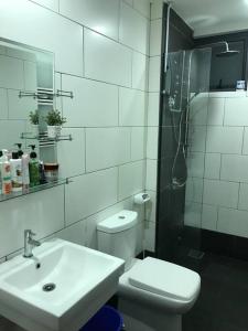 黑风洞Selayang 18 Residences (100mbps Wifi & Netflix)的一间带水槽、卫生间和淋浴的浴室