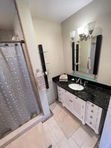华盛顿Deluxe King Master Suite的带淋浴、盥洗盆和镜子的浴室