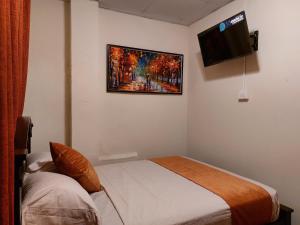 奇特雷Hospedaje Los Lirios Chitré的卧室配有一张床,墙上配有电视。