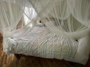 姆托瓦姆布Mwi Village House的一张带白色床罩和窗帘的床