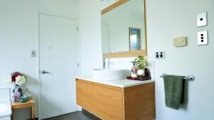 克伦威尔班诺克本葡萄藤住宿加早餐旅馆的一间带水槽和镜子的浴室