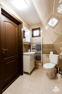 BorzontTransylvania Apartments的一间带卫生间和水槽的浴室