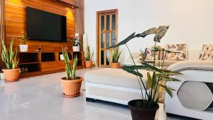 FeydhooMuladdu Inn的客厅配有盆栽植物和电视