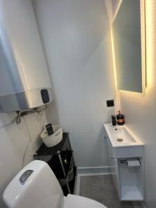 凯尔德拉Kärdla Holiday Apartment with Sauna and Terrace的浴室配有白色卫生间和盥洗盆。