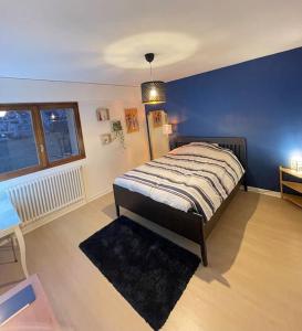 费内-伏尔泰Appartement Très Cosy à 5 min Aéroport Genève的一间卧室设有一张床和蓝色的墙壁