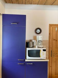 巴特布莱贝格CasaBleiberg - Garten Apartment - Naturpark Dobratsch的厨房配有微波炉和蓝色冰箱
