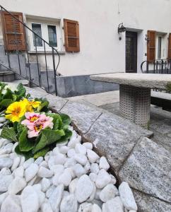 戈尔多拉Casa Rosina - Una caramella, nel nucleo, ai piedi della Verzasca-的花园里的石头桌子和鲜花