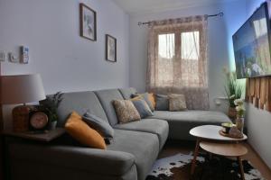 ŠkripRobinson crusoe style house "MASLINA''的客厅配有灰色的沙发和桌子