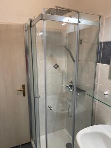茨里克韦尼察Apartment Kati的浴室里设有玻璃门淋浴