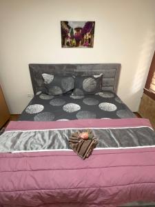 新帕扎尔ALOHA apartment的一张带粉红色和灰色棉被的床