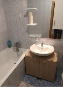 萨格勒布Odmor u Zagrebu的浴室配有盥洗盆和浴缸。