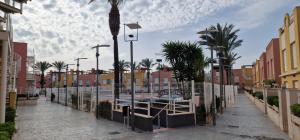 维拉Vera playa laguna beach的一条种有棕榈树的街道和游泳池
