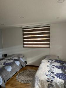 CouvetAppartement Wonder的卧室设有两张床,配有窗户和地毯。
