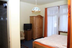塞默灵Gasthof Edelweiss的一间卧室设有一张床、一台电视和一个窗口。