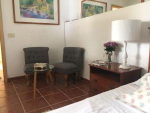 圣克鲁斯-德特内里费Casa-solarium en la naturaleza的卧室配有两把椅子、一张桌子和一张床