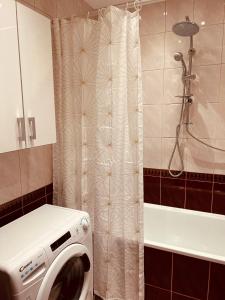 蒂黑APARTAMENT TYCHY MIASTO 60m2的带淋浴的浴室内的洗衣机