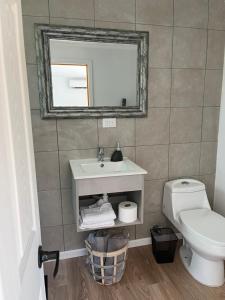 圣克鲁兹Nenquen Lodge的一间带水槽、卫生间和镜子的浴室