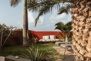蓬塔德尔西达尔戈Papaya Cottage Punta del Hidalgo的一个带沙发和棕榈树的庭院