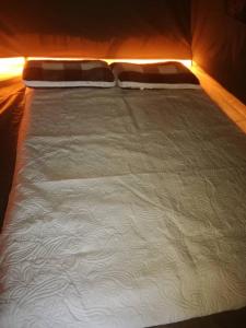 NgomaNahubwe Safari Lodge的一张白色的床,上面有两个枕头