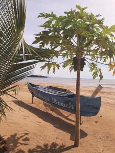 贝岛Le Moya Beach的棕榈树旁海滩上的蓝色小船