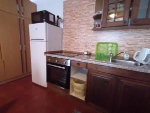 Selnica ob DraviApartma的厨房配有白色冰箱和水槽