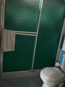 普罗维登西亚Posada buena vista al mar的浴室内带卫生间的绿色淋浴间