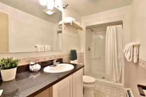 基灵顿The Birch Ridge- Mission Room #4 - Queen Suite in Killington, Vermont home的一间带水槽、卫生间和淋浴的浴室