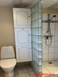 哥本哈根Bak Guesthouse的一间带卫生间和淋浴的浴室