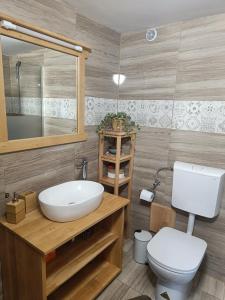 MislinjaGrunt Sonek的浴室配有白色水槽和卫生间。