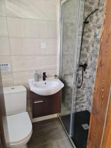 维多利亚Splendid House Victoria Gozo的浴室配有卫生间、盥洗盆和淋浴。