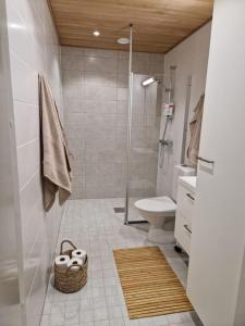 卡拉约基Matruusi - upea yksiö merinäköalalla的浴室配有淋浴间和卫生间。