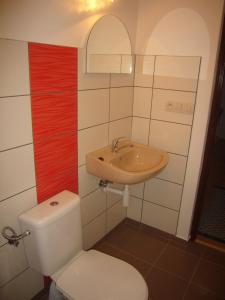 ObidVínny dom - Rumcajz - Borház的一间带卫生间和水槽的浴室