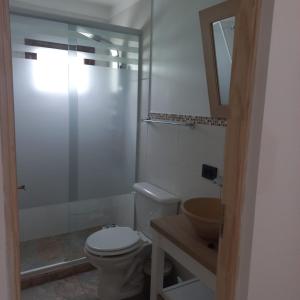 乌斯怀亚USHUAIA FOR´NS的一间带卫生间和玻璃淋浴间的浴室