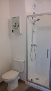 巴约讷appartement bayonne的白色的浴室设有卫生间和淋浴。