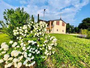 蒙赞巴诺Incanto del Garda的房屋前的白色花丛