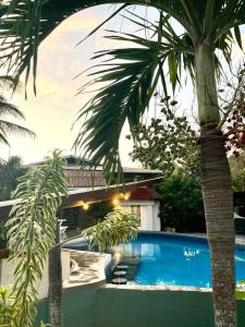 普拉亚弗拉明戈Cabinas Flamingo的游泳池旁的棕榈树