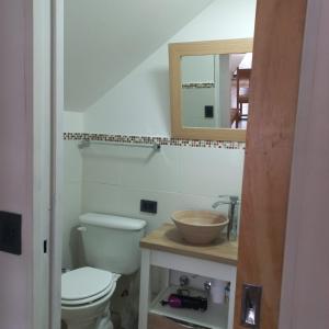 乌斯怀亚USHUAIA FOR´NS的一间带卫生间、水槽和镜子的浴室